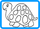 turtle